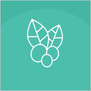 Ŀ�ǿ��Ÿ� ����ȭ�� ������